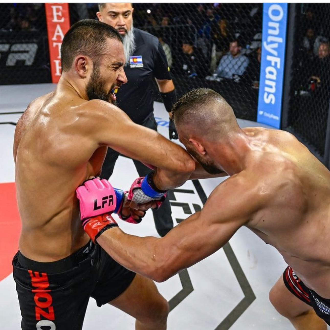 KO Zone professional MMA fighter in cage action